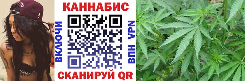 Конопля марихуана  купить наркоту  Королёв 